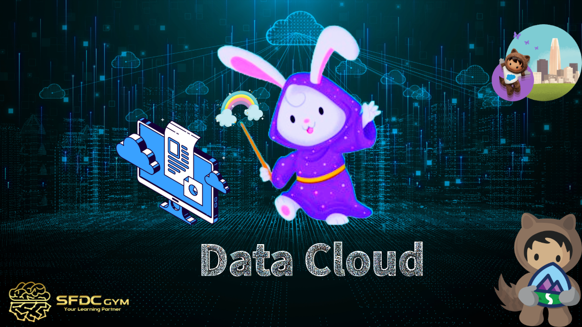 Start Salesforce Data Cloud